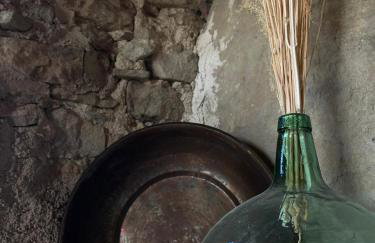 Mas Sabaters - L'Era de Sabaters - Foto 4