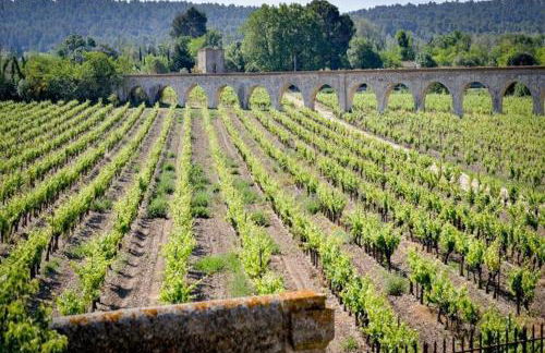 Residence du Chateau de Jouarres, Azille - Studio 2 Pers. With Balcony - Foto 8