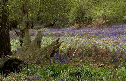 Lodge Farm - Foto 64