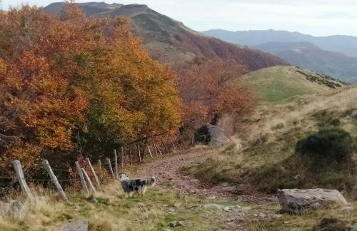 Le Zen Altitude - Foto 17