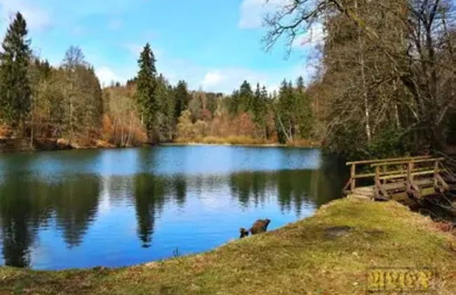 Ferienhaus in Wieda mit Garten - Foto 18