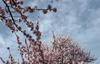 Ferienwohnung Freiraum - Foto 8