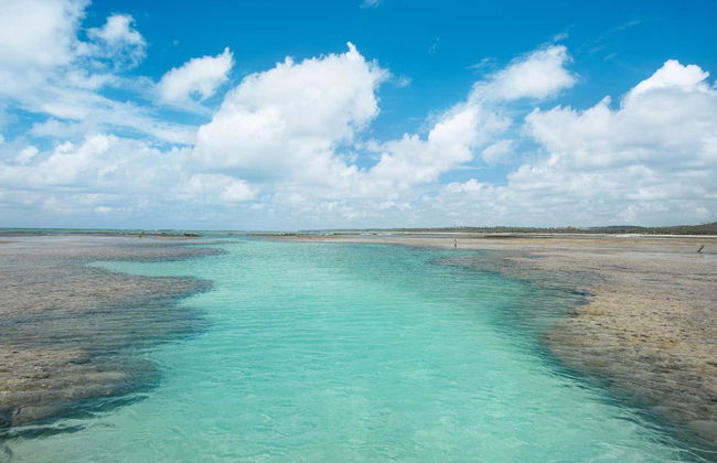 Escursione a São Miguel dos Milagres - Foto 1
