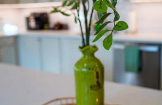 Peridot Suite - NEW 2bdrm 2bath Loft near Mass! - Photo 4