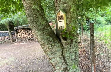 La petite vallée - Photo 7