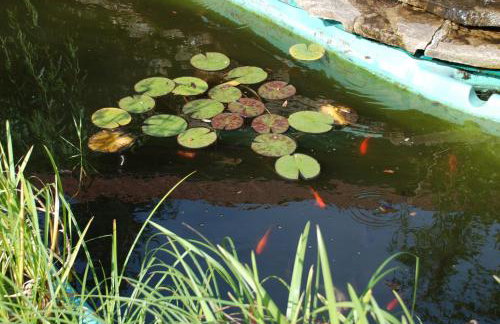 VillaRenoma - Photo 15