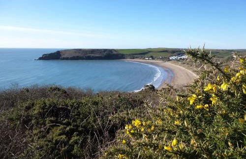 3 Bed in Freshwater East 42105 - Foto 28