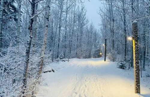 Cozy Townhome at Lutsen Mtn - Ski-in, Ski-out, Pool, Hot Tub, Fitness Center, resort amenities galore! - Foto 43