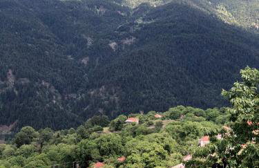 ΤΟ ΑΡΧΟΝΤΙΚΟ - Photo 33