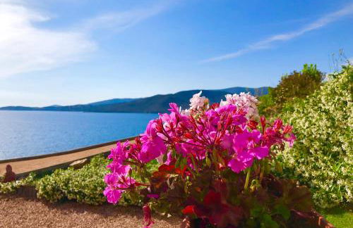 L'armandulina - Foto 5