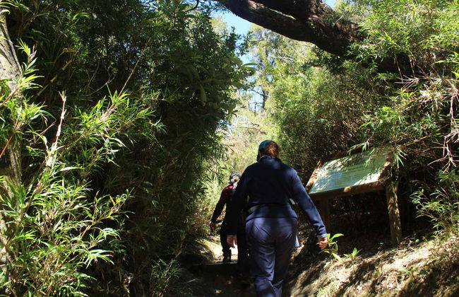 Hiking in Oncol Park - Photo 4