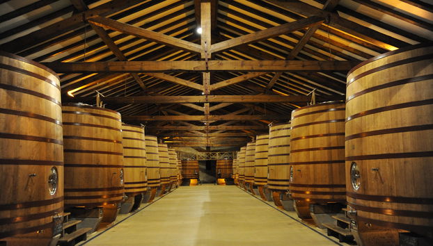 Bodega CVNE (La Rioja) - Photo 3