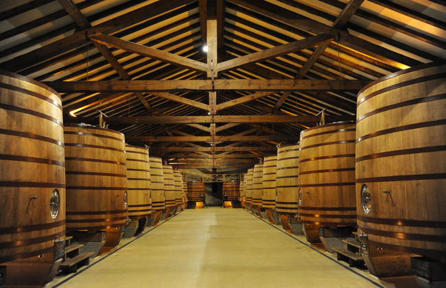 Bodega CVNE (La Rioja) - Photo 3