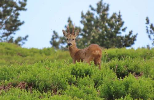 Gîte du Verger - Foto 47