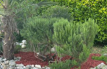 Apartman Perla - Foto 35