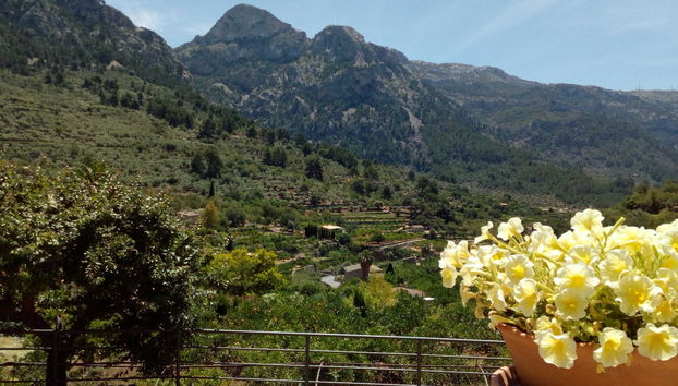 Sa Tanqueta de Fornalutx - Foto 4