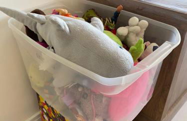 LINDO Apto beira mar praia Ingleses - Photo 46