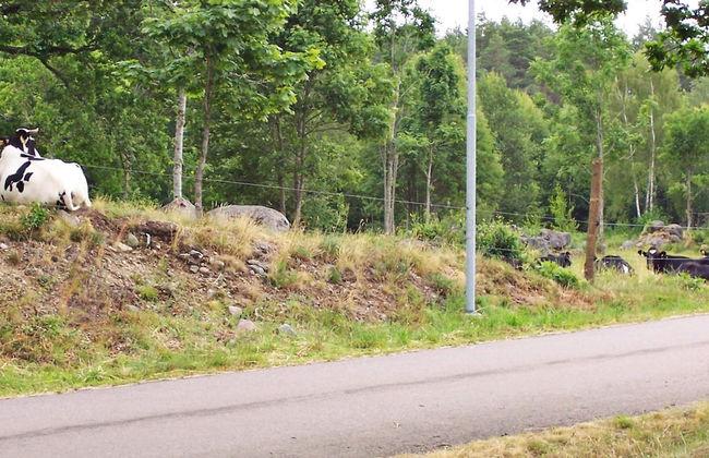 6 Person Holiday Home in Alsterbro-by Traum - Foto 22