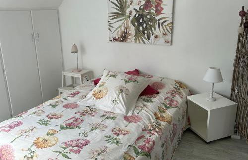 Le Cocon rouge - studio en plein centre historique - Photo 25