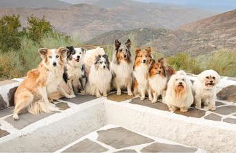 Cortijo La Vista - Foto 9