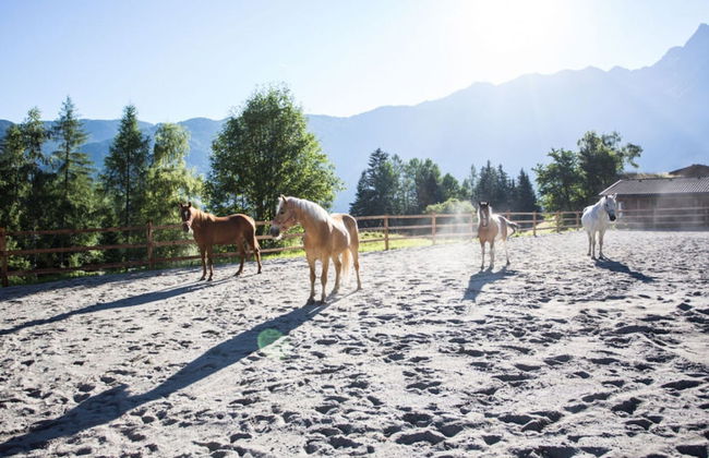 Holiday Home Chalet Astrid - Foto 15