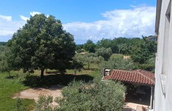 Apartman Ika Umag - Photo 22