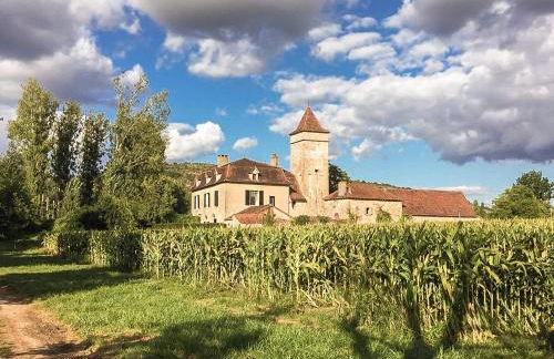 Historic mansion by the River Lot in Cénevières - Foto 1