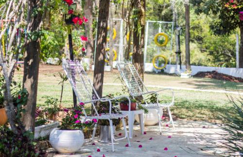 Sitio só Alegria com roupas de cama e banho - Foto 48