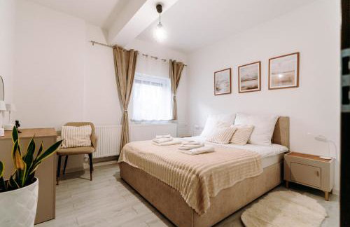 APARTAMENT OGRODOWA premium z ruską banią, kominkiem i oranżerią w centrum - Foto 30