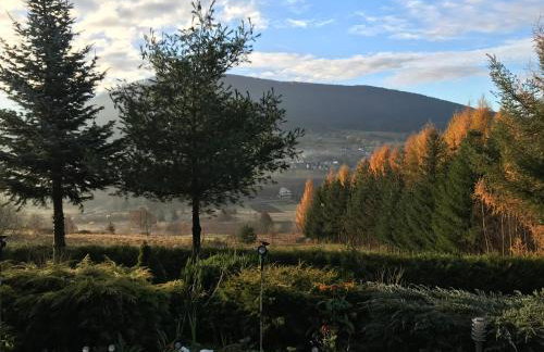 Zielony Dom - Foto 12