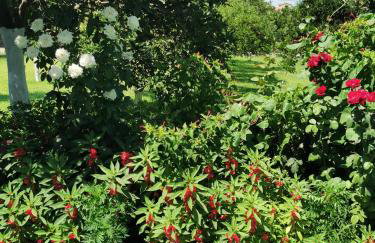 Kardiakafti Village - Foto 57