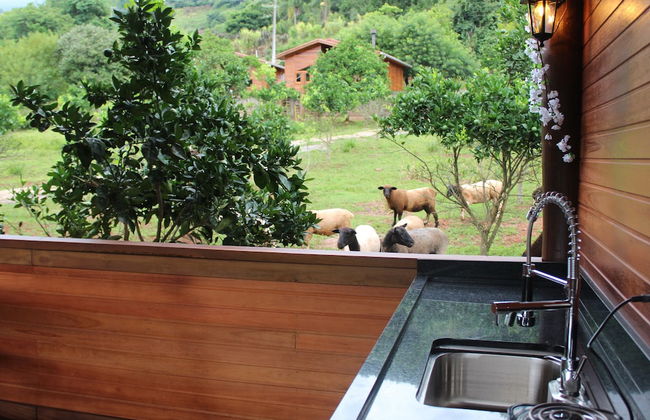 Pousada Vila Felicita - Foto 54