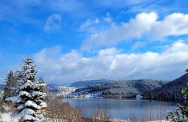 Nouveau Chalet M.META 12 pers sauna,jacuzzi,billard - Foto 34