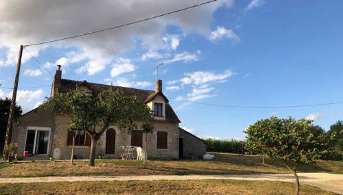 Au coeur de notre ferme céréalière - Foto 2