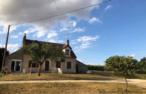 Au coeur de notre ferme céréalière - Foto 2