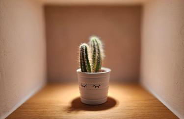 Ferienapartment Wilma - Foto 28