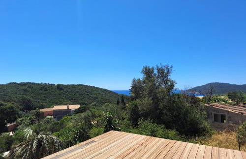 Les Bromélias Ile du Levant - Foto 6