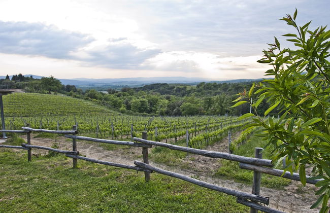 Agriturismo Oliviera - Foto 17