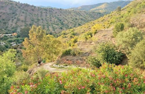 Finca Santa Matilde Málaga - Photo 9