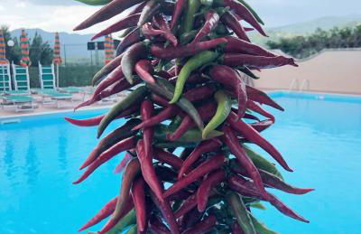 Rifugio del Cavaliere - Foto 58