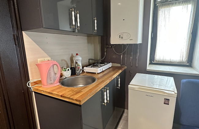 Green Bird Suit - Foto 39