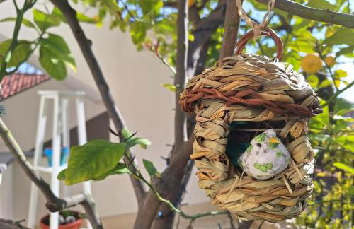 La Pigna dell'Etna - Foto 2