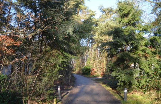 Holiday Lodge in Staphorst With Pool Access - Photo 30