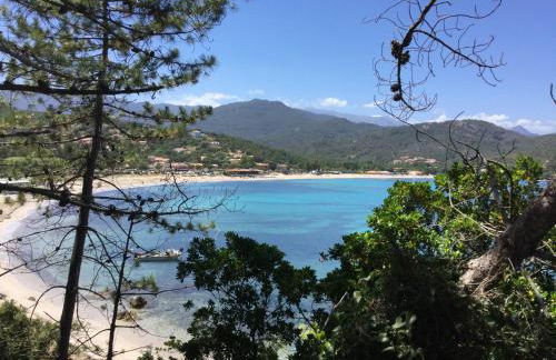 Résidence Playa Del'Oro - Foto 1