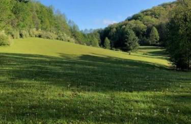 Home in the Heart of W.V. Adventure Country! - Photo 40