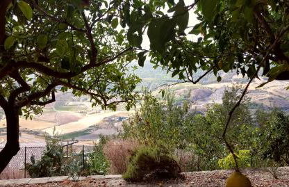 Borgo Saraceno - Foto 11