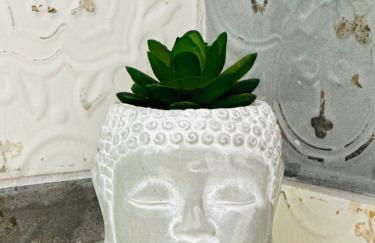 Gerani Studios - Foto 38