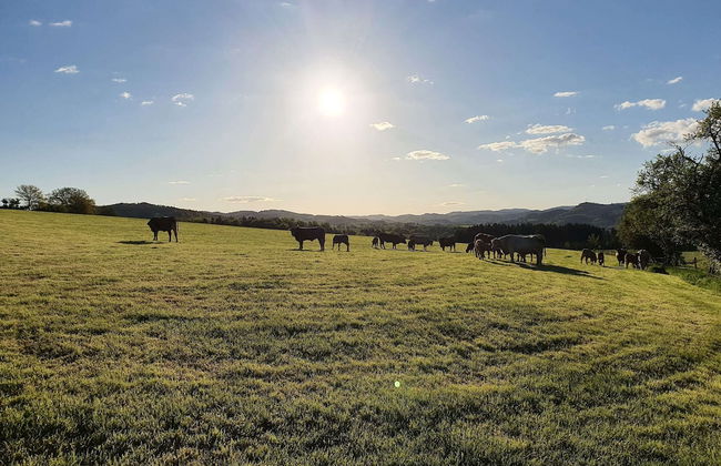 Silbecke Forest View Apartment - Foto 21