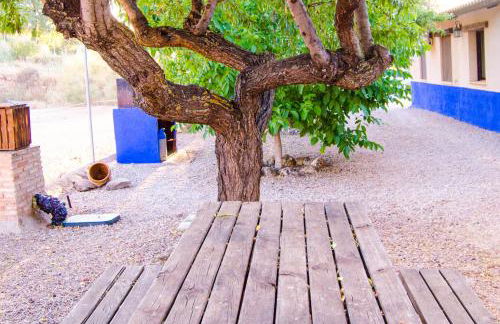 Casas Rurales Alhambra - Lagunas de Ruidera - ESPECIAL GRUPOS - Foto 13