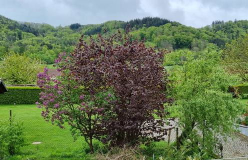 Gadenhaus-für Ferien&Business am Bodensee - Photo 20